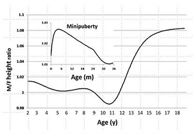 Sexual Dimorphism of Size Ontogeny and Life History